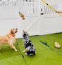 Pet boarding services Camp Bow Wow West Mobile in Mobile in Alabama