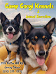 Pet boarding services Camp Corgi Kennels Llc in Jersey Shore in Pennsylvania
