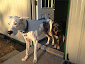 Pet boarding services Camp Cypress Dog Retreat in Benton in Louisiana