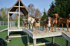 Pet boarding services Camp K9 Pet Resort & Day Camp in Madison in Wisconsin