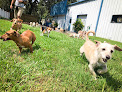 Pet boarding services Canine Cabana in Riverview in Florida