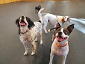 Pet boarding services Canine Cabin in Clear Lake in MN