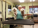 Pet boarding services Canine Camp in Jacksonville in IL