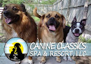 Pet boarding services Canine Classics Spa & Resort in Bloomington in IL