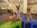 Pet boarding services Canine Club in Grants Pass in OR