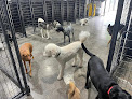 Pet boarding services Canine Clubhouse in Ona in West Virginia