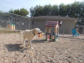 Pet boarding services Canine Country Club in Elko in MN