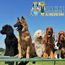 Pet boarding services Canine Country Club & Feline Inn in Phoenix in Arizona