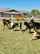 Pet boarding services Canine Country Ranch in Laveen Village in Arizona