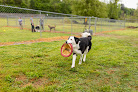 Pet boarding services Canine Country in Greenwood in Louisiana