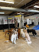 Pet boarding services Canine Crews in Chicago in IL