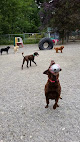 Pet boarding services Canyon Pet Lodge, Inc. Dba Camp Bark @ The Lodge in Puyallup in WA