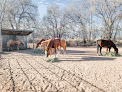 Pet boarding services Cassetta Critter Care Horse Motel in Tucumcari in New Mexico
