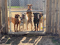 Pet boarding services Castle Rock Kennels in Farmington in Minnesota