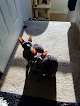 Pet boarding services Cat Clinic Of Johnson County in Lenexa in Kansas