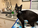 Pet boarding services Cat Hospital At Towson in Baltimore in Maryland