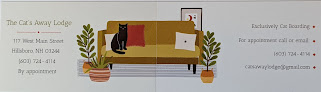 Pet boarding services Cats Away Lodge in Hillsborough in New Hampshire