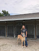 Pet boarding services Cedar Creek Kennels Llc in Monmouth in IL
