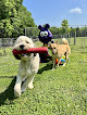 Pet boarding services Cedar Hill Doggie Staycare, Llc. in Rockvale in Rutherford