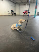 Pet boarding services Central Ohio Muttessori School in Worthington in OH
