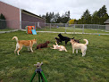 Pet boarding services Centralia Pet Resort in Centralia in Lewis