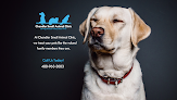 Pet boarding services Chandler Small Animal Clinic in Chandler in Arizona