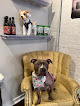 Pet boarding services Chateau De Marmutt in Baltimore in Maryland