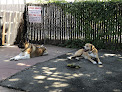 Pet boarding services Cheap Shots, Second To None Pet Services - Veterinarian & Animal Hospital in San Leandro in CA
