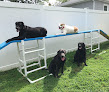 Pet boarding services Chesapeake Dog Training, Llc in Annapolis in Maryland