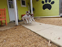 Pet boarding services Chesapeake Pet Resort And Day Spa in Hollywood in Maryland
