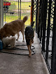 Pet boarding services Chester Choice Boarding-animal Boarding in Chester in Arkansas