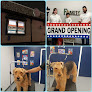 Pet boarding services Chibi's Choice Dog Grooming, Daycare & Supply in Rumford in RI