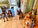 Pet boarding services Chris' Canine Club Llc in Coventry in RI