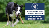 Pet boarding services Cilley Veterinary Clinic in Concord in New Hampshire