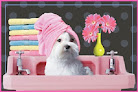 Pet boarding services Cindy's Dog Grooming in Warr Acres in Oklahoma