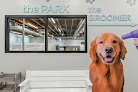 Pet boarding services City Paws Pet Club - Dog Daycare, Boarding, Training & Grooming in Minneapolis in MN