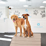 Pet boarding services City Paws Pet Club - Dog Daycare, Boarding, Training & Grooming in Minneapolis in MN