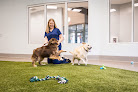 Pet boarding services Clawington Of Madison in Madison in Alabama