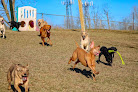 Pet boarding services Clearview Pet Care Centre in Omaha in Nebraska