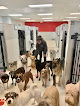 Pet boarding services Cleveland Bed & Biscuit in Cleveland in Cuyahoga