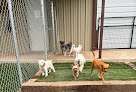 Pet boarding services Clover-pets / Dog Training & Boarding Granbury in Granbury in TX
