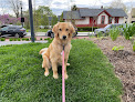 Pet boarding services Club Canine in Carmel in Indiana