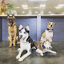 Pet boarding services Club K9 in Las Vegas in Nevada