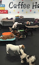 Pet boarding services Coffee Hounds in Douglas in Coffee