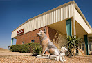 Pet boarding services Cohn Pet Care Facility in Stillwater in Oklahoma