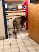Pet boarding services College Park Animal Hospital in College Park in Maryland