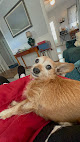 Pet boarding services Commonwealth Animal Hospital in Harrodsburg in Kentucky
