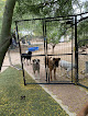 Pet boarding services Como Pet Lodge in Tucson in Arizona