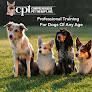Pet boarding services Comprehensive Pet Therapy Inc - Dog Training Oregon in Eugene in Oregon