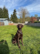 Pet boarding services Conway Kennel in Stanwood in Snohomish